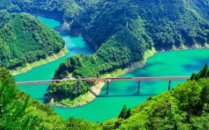 壁紙 エメラルド グリーンの通販 Au Pay マーケット