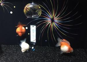 壁紙 金魚の通販 Au Pay マーケット