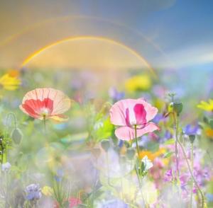 ウォール ステッカー 花畑の通販 Au Pay マーケット