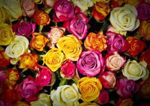 薔薇 壁紙の通販 Au Pay マーケット