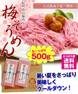 プチギフト 紀州梅そうめん 500g 全国送料無料 梅風味 紀州和歌山名物梅干し 紀州南高梅 そうめん 手延べそうめん 素麺 ※めんつゆは別売