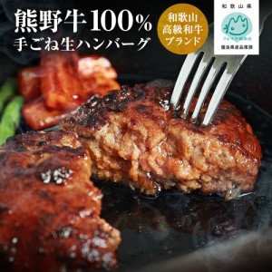   ギフト和歌山の高級和牛ブランド　熊野牛100％使用 手ごね生ハンバーグステーキ 5個入（ステーキソース付）冷凍生ハンバーグ