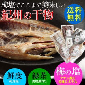 梅塩使用の紀州の干物！4種7〜8枚セット 送料無料 （太刀魚、小あじ、さんまみりん干し、鯛）