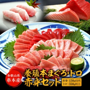 串本産 養殖 本まぐろ トロ、赤身セット（赤身 150g以内、トロ350g以上）（真空包装）冷凍便送料無料