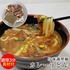 具材付き冷凍麺 カレーうどん 麺 スープ 具材付！お鍋一つで出来る簡単便利なごちそう麺