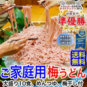 お中元  ギフト在宅応援！【ご家庭用 お買得】ご家庭用大盛り冷し梅うどん10食セット【送料無料】（麺、めんつゆ、梅干240g付）