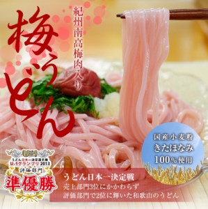 お中元 父の日 遅れてごめんね ギフトプチギフト 手みやげにも！紀州梅うどん4食つゆ付冷しうどん おだし選べる 全国送料無料　うどん日