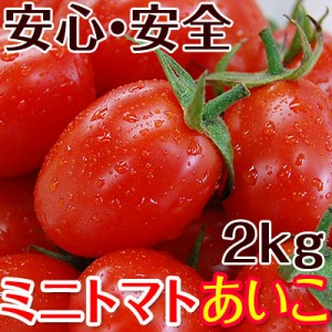 ミニトマトあいこ（アイコ）2kg【送料無料】和歌山のエコファーマーが減農薬・減化学肥料で作るこだわりの果肉・栄養たっぷりのトマト