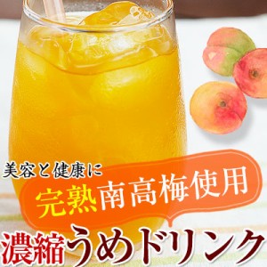 完熟梅ジュース（紀州南高梅使用）500ml　2倍濃縮タイプ　香り高く濃厚なコクのある梅ドリンク