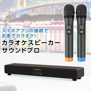 カラオケ サウンドプロ TKMI-002 スマホ対応 簡単接続 Bluetooth搭載 ホームシアター対応 カラオケアプリ使用 ホームパーティー おこもり