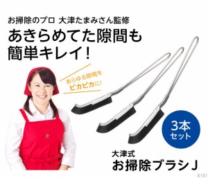 大津式 お掃除ブラシ J　3本セット！【箱から出してネコポス便発送】掃除 ブラシ お風呂 排水溝 大掃除 お風呂掃除 トイレ掃除 キッチン