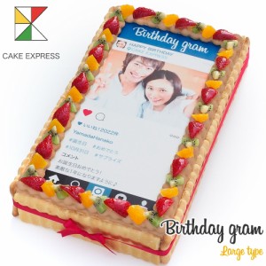 インスタグラム風写真ケーキ L フルーツ生チョコクリーム 36×21cm バースデーケーキ 誕生日ケーキ 【送料無料】