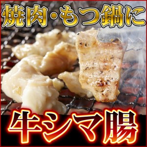 牛ホルモン シマチョウ 大腸 500gパック メキシコ産 テッチャン 焼肉 もつ鍋 BBQ