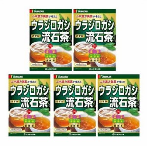 送料無料 ▲［まとめ販売］ウラジロガシ流石茶　5g×24包×5個 ・7700円以上お買上げで全国配送料無料