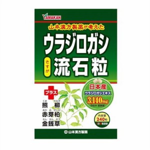 メール便 ウラジロガシ流石粒　240粒入り ・メール便にて発送致します