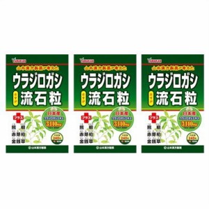 送料無料メール便 ［まとめ販売］ウラジロガシ流石粒　240粒入り×３個 ・メール便にて発送致します