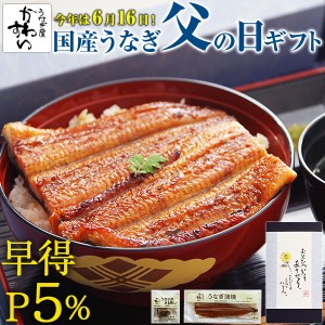 【早割開催中 P5%】父の日 ギフト 国産 うなぎ蒲焼き メガサイズ230g1本・肝吸い1食  ウナギ うなぎ 蒲焼き 蒲焼 