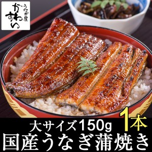 国産 うなぎ 蒲焼き 大サイズ150g 1本 うなぎ グルメ 贅沢 うな丼 うな重 贈り物 ウナギ 鰻 冷凍 保存食 非常食 お取り寄せ ギフト プレ