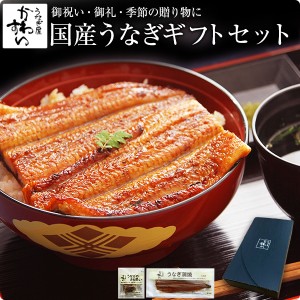 ギフト セット 国産 うなぎ 蒲焼き 特大170g1本と肝吸い1食 送料無料 化粧箱 ギフトセット 鰻 うなぎ ウナギ 御礼 御祝 贈答 結婚 出産 