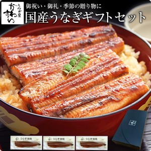 ギフト セット 国産 うなぎ 蒲焼き 特大170g×3本 送料無料 化粧箱 ギフトセット 鰻 ウナギ 御礼 御祝 お見舞い 贈答 結婚 出産 お見舞 