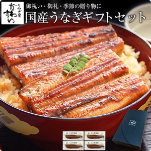 ギフト セット 国産 うなぎ 蒲焼き 特大170g×4本 送料無料 化粧箱 ギフトセット 鰻 ウナギ 御礼 御祝 お見舞い 贈答  のし 結婚 出産 お