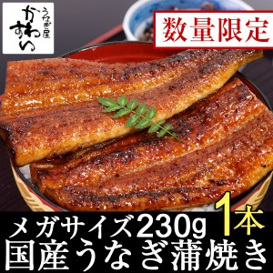 【50本限定】国産うなぎ蒲焼き メガサイズ230g×1本 国産うなぎ 蒲焼き 送料別 プレミアム会員様送料無料 山椒別売り 一番人気 超特大 贅