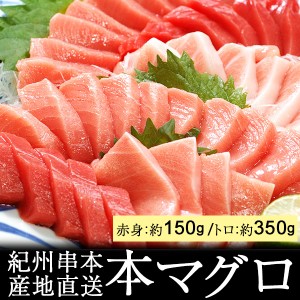 本マグロ トロ 赤身セット500g 紀州串本産 養殖 まぐろ 鮪 刺身 柵 冷凍 産地直送 ギフト