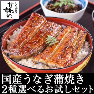 うなぎ屋かわすい 国産 うなぎ 蒲焼き 2種セット ウナギ 蒲焼 うなぎ蒲焼き うなぎ蒲焼 贈り物 グルメ ギフト 土用丑 送料無料 