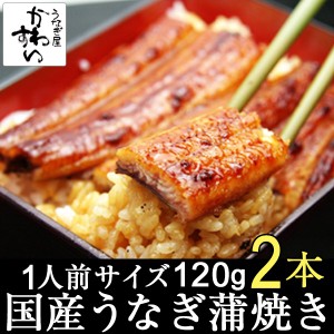 国産 うなぎ 蒲焼き 120g×2本 送料無料 山椒別売り 送料込 お取り寄せ グルメ ウナギ 鰻 うな重 贅沢 おうちで ギフト 贈り物 冷凍 冷凍