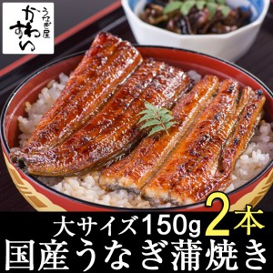 国産 うなぎ 蒲焼き 大サイズ150g×2本 送料無料 山椒別売り ウナギ 鰻 冷凍 お取り寄せ グルメ 贅沢 自宅用 ギフト 贈り物 結婚祝い 土