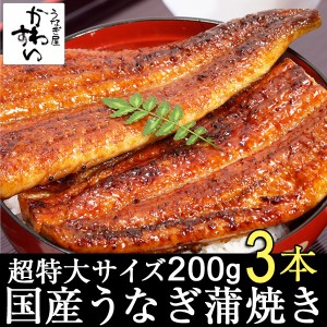 国産 うなぎ 蒲焼き 超特大200g×3本 送料無料 タレ付 山椒別売り ウナギ 鰻 蒲焼 国産うなぎ 贈り物 ギフト お取り寄せ グルメ 冷凍 　