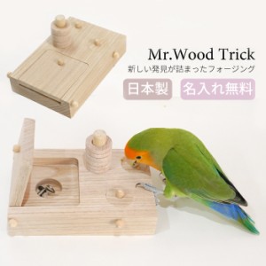 小鳥用 フォージング おもちゃ ごはん 小鳥 玩具 グッズ 可愛い ウロコインコ オカメインコ シロハラインコ インコ 名入れ 無料 オーダー