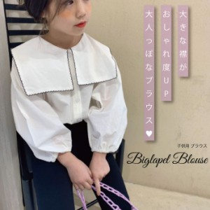 子供 ブラウス トップス 無地 襟 大きい 子供 韓国 子供服 可愛い 韓国子供服 韓国子ども服 韓国こども服 女の子 カジュアル ナチュラル