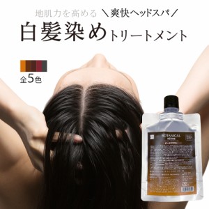 白髪染め レフィーネ ヘッドスパ トリートメント カラー 色混ぜ用 (80g) R4 ヘアカラー ノンシリコン  全5色