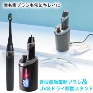 ドライ＆UV除菌スタンド付 音波電動歯ブラシ サンコー SUDUSTBS 除菌歯ブラシ 電動歯ブラシ 送料無料