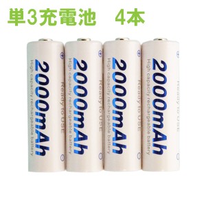 ＼ポイント5倍／プラタ ニッケル水素充電池 単3形 4本セット 2000mAh 収納ケース付 単3電池 単3型 充電池 NK-AA-4S メール便送料無料