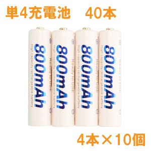 ＼ポイント5倍／プラタ ニッケル水素充電池 単4形 40本セット 800mAh 収納ケース付 単4電池 単4型 充電池 NK-AAA-4S-10P メール便送料無