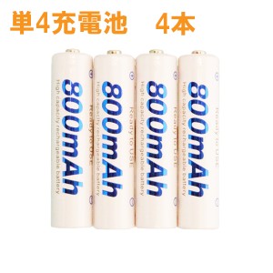 ＼ポイント5倍／プラタ ニッケル水素充電池 単4形 4本セット 800mAh 収納ケース付 単4電池 単4型 充電池 NK-AAA-4S メール便送料無料