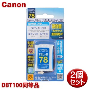 キヤノン用コードレス電話機 子機用充電池 2個セット DBT100同等品 容量800mAh 05-0078 OHM TEL-B78 コードレスホン 互換電池 メール便送