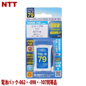 NTT用コードレス電話機 子機用充電池 電池パック-062・-098・-107同等品 容量800mAh 05-0079 OHM TEL-B79 コードレスホン 互換電池 メー