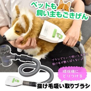 掃除機につけるわんタッチ抜け毛吸い取りブラシ サンコー S-VGT21B 掃除機ブラシ 犬 猫 抜け毛対策 送料無料