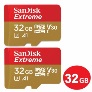 ＼ポイント5倍／サンディスク microSDHCカード 32GB 2枚入り EXTREME Class10 UHS-1 U3 V30 A1 100MB/s SDSQXAF-032G-GN6MN-2P Nintendo 