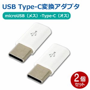3Aカンパニー USB Type-C変換アダプタ 2個 microUSB（メス）-Type-C（オス）変換 データ通信・充電対応 PAD-USBCMC2P メール便送料無料