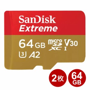 ＼ポイント5倍／サンディスク microSDXCカード 64GB 2枚セット EXTREME UHS-1 U3 V30 A2 170MB/s SDSQXAH-064G-GN6MN-2P SanDisk マイク