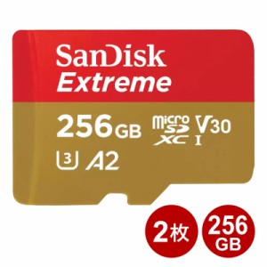 ＼ポイント5倍／サンディスク microSDXCカード 256GB 2枚セット EXTREME UHS-1 U3 V30 A2 190MB/s SDSQXAV-256G-GN6MN-2P SanDisk マイク