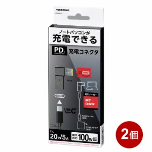 ＼ポイント5倍／ヤザワ PD対応充電コネクタ 2個セット NEC専用 USB充電 変換コネクタ Type C PDNL01-2P メール便送料無料