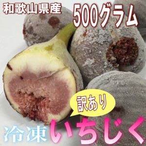 【予約開始】和歌山県産 訳あり 冷凍いちじく 500g 【送料無料】＊8月中旬頃から入荷あり次第発送開始