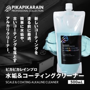 ピカピカレインプロ 水垢＆コーティングクリーナー コーティング除去 コーティング落とし コーティングクリーナー [TOP-PRO-ALKALI] 