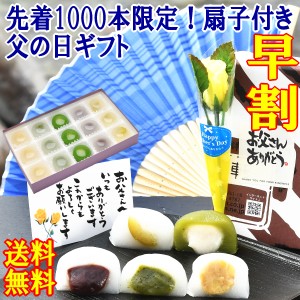 早割 父の日 ギフト お菓子 スイーツ 和菓子 人気 プレゼント 詰め合わせ セット 食べ物 涼菓子 ヒンヤリスイーツ まんじゅう ヒンヤリ 