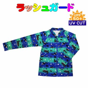 ラッシュガード 子供用 海の生き物柄　紫外線カット　UPF50＋　 UV CUT 　ZAZZY ZAPS　水着 夏休み 海 プール 日焼け